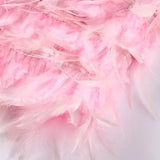 Samba | Eleganță în Mișcare